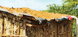 An example of the type of housing "Lesiyiai" lives in with her seven  children