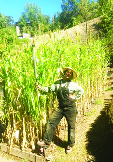 Sorghum growing tall at TJC with FTT Suraya David-Sadira for scale