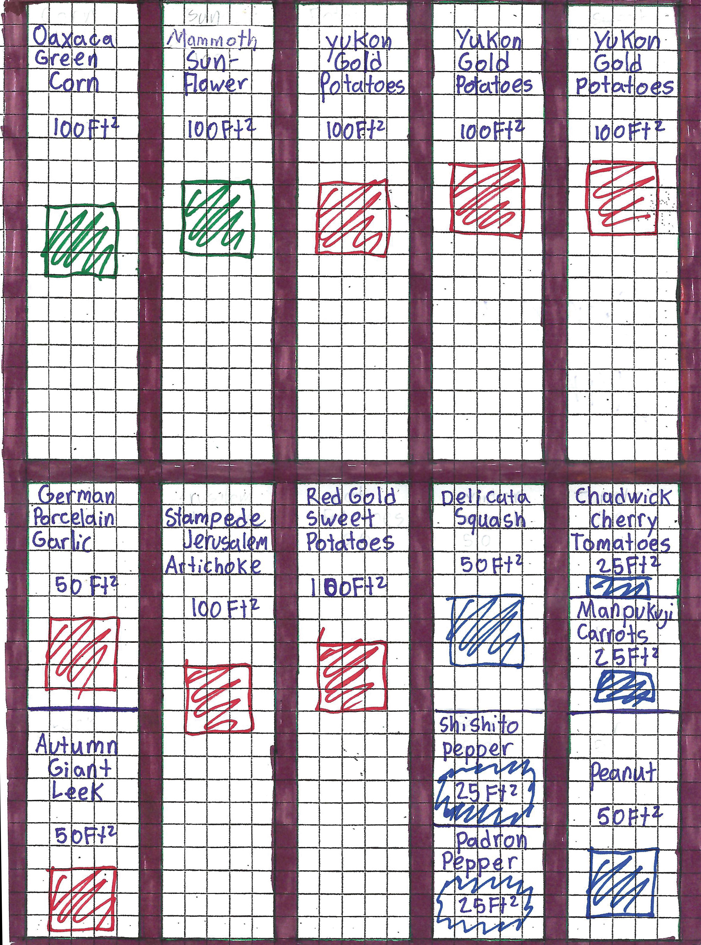 Winter 10-Bed Unit Plan