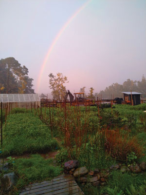 VGFP mini-farm with rainbow in the background. Image credit Matt Drewno