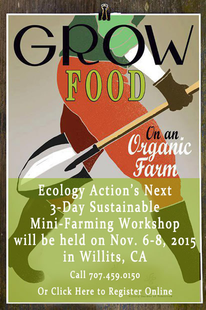 3-Day Workshop Nov. 6-8, 2015