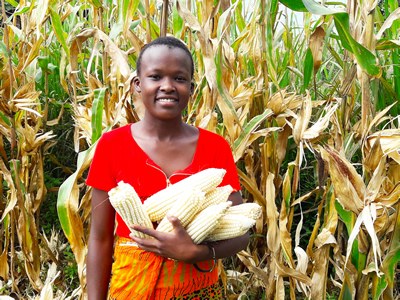 A young Kenyan woman taught by CGA holds an abundant harvest of corn from her GROW BIOINTENSIVE garden