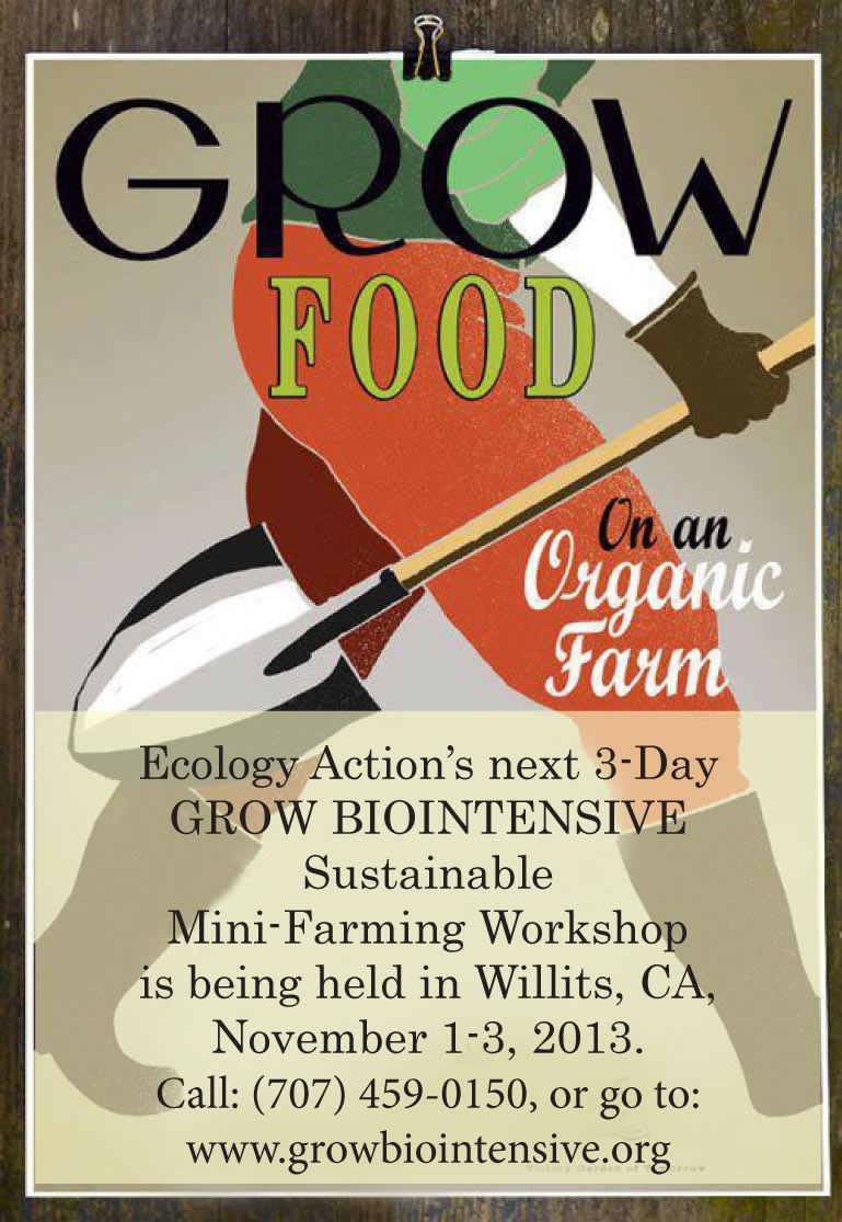 Click here for information, and our online registration form. 3-Day Workshop Nov. 2-4, 2012