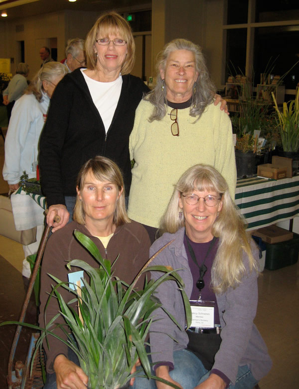 PopUp Plant Stars: Sherry Hall, Pamela Mason, Nicky Hughes, Nancy Schramm