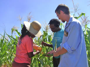 Dan, Asbeta and Esther inspecting the corn