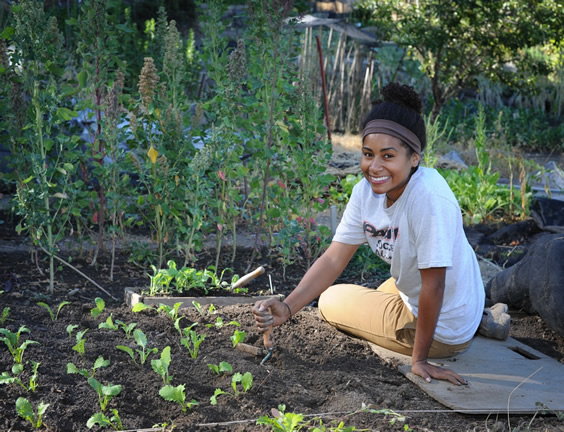 Two-month intern Kim Hargrave transplanting seedlings.