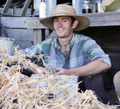 Ryan processing vetch