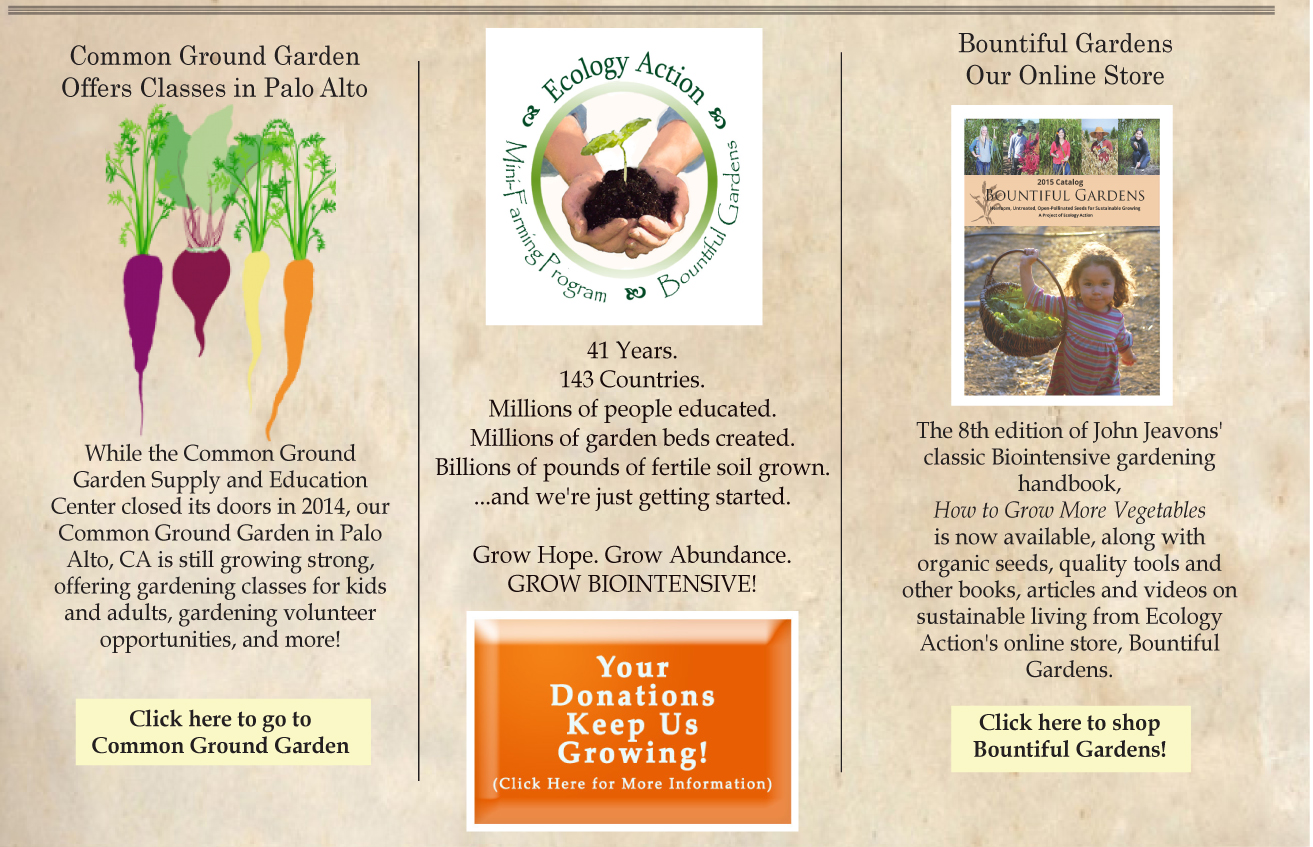 ______
41 Years.
143 Countries.
Millions of people educated.
Millions of garden beds created.
Billions of pounds of fertile soil grown.
...and we're just getting started.
Grow Hope. Grow Abundance.
GROW BIOINTENSIVE!
Please donate to keep our work growing at home and around the world!
http://www.growbiointensive.org/giving
___________________________________________
Common Ground Garden 
While the Common Ground Garden Supply and Education Center closed its doors in 2014, our Common Ground Garden in Palo Alto, CA is still growing strong, offering gardening classes for kids and adults, gardening volunteer opportunities, and more! Visit us online to learn more: 
http://www.commongroundgarden.org
___________________________________________
Bountiful Gardens: Seeds, Tools and Books Online
The new 8th edition of John Jeavons' classic Biointensive gardening handbook, How to Grow More Vegetables is available from Ecology Action's online store, Bountiful Gardens, along with organic seeds, quality tools and other books, articles and videos on sustainable living.
http://www.bountifulgardens.org
___________________________________________
©2015 Ecology Action. All Rights Reserved.
---------------------------------------------------------------------