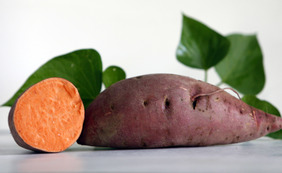 Carolina Sweet Potato