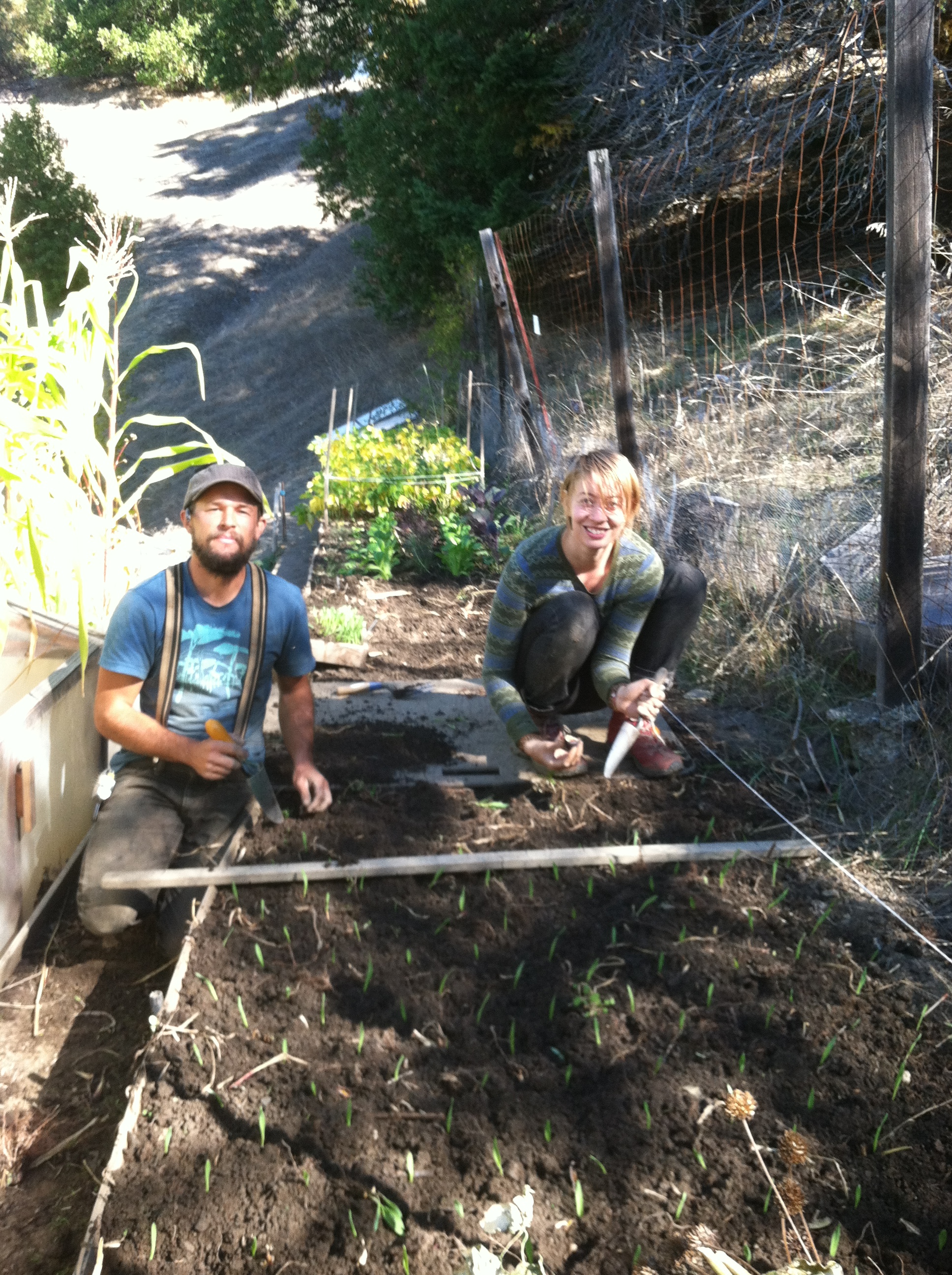 Eric and Renee in the garden, planting seedlings