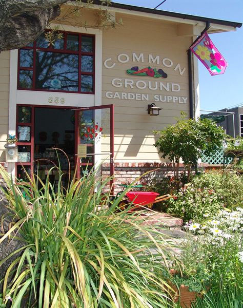 Common Ground Store Entrance