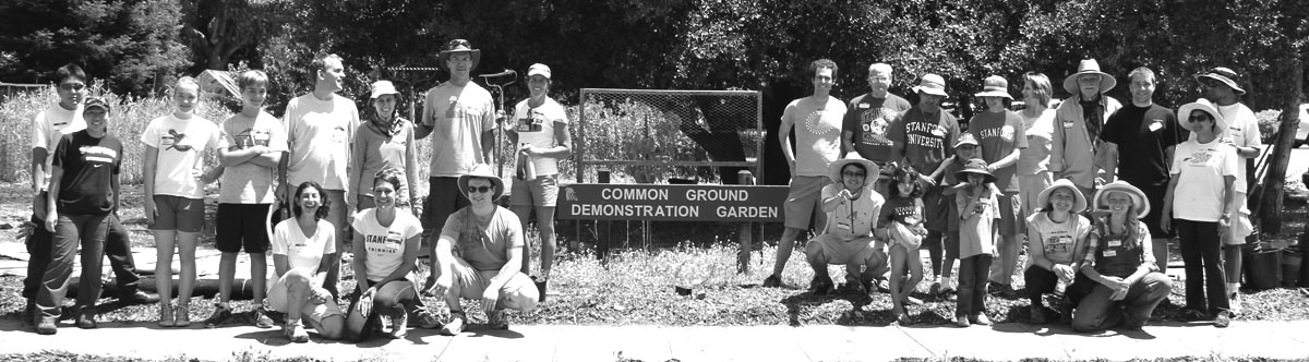 Stanford Alumni Workday at Common Ground Garden in Palo Alto, CA