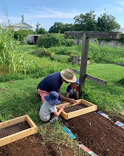 ALI director Chris Faria teaching future farmers of Bermuda about GB seedspacing
at the ALI Children's Gardening Club