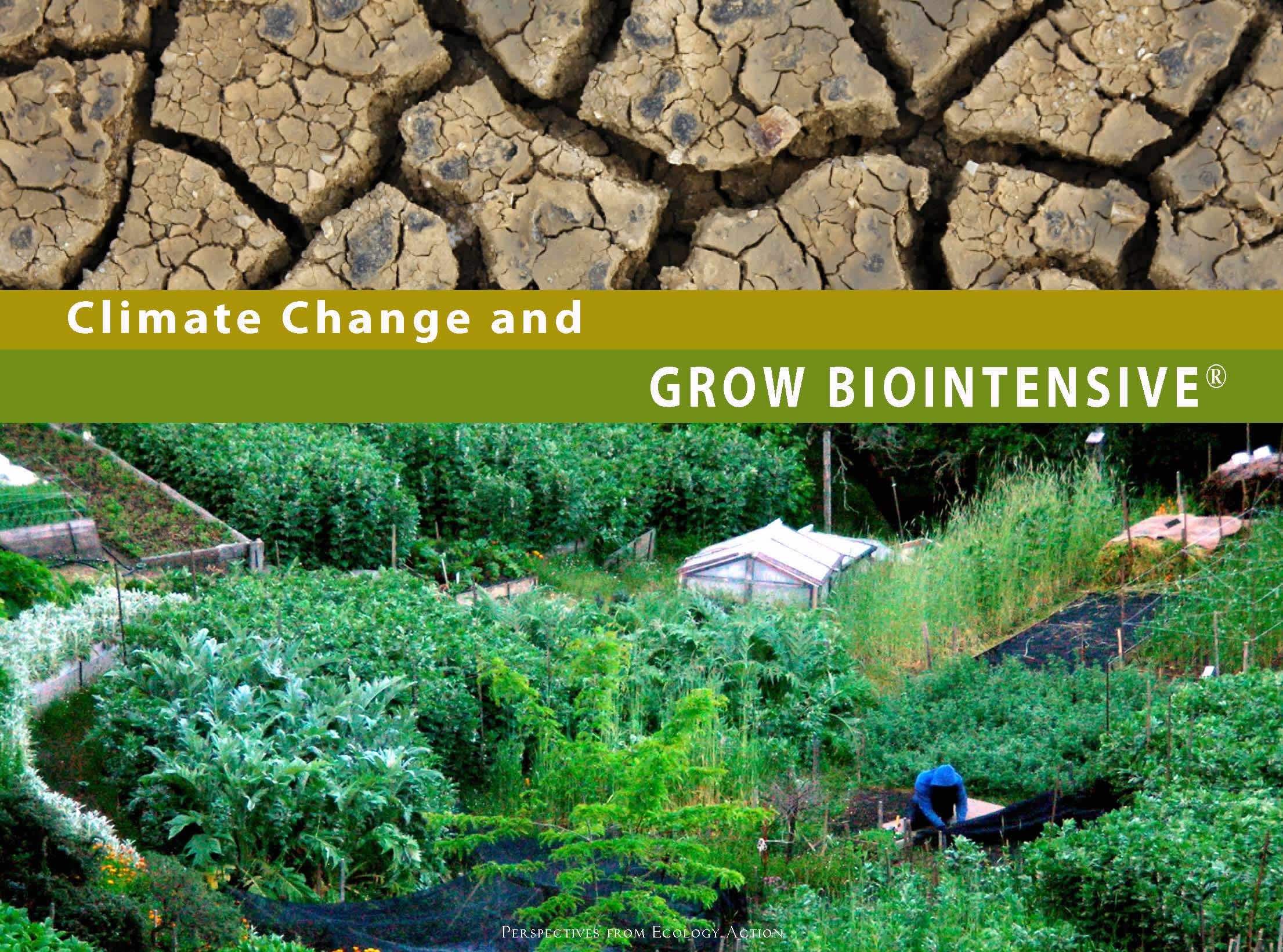 Climate Change and GROW BIOINTENSIVE Booklet Cover