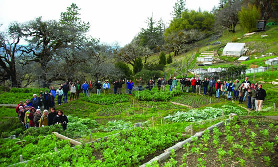 Workshop participants at Ecology Action Headquarters in Willits, CA