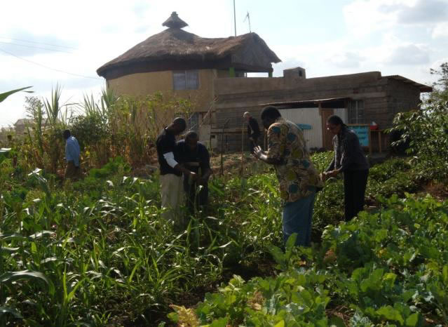 Participants tour the G-BIACK demonstration garden