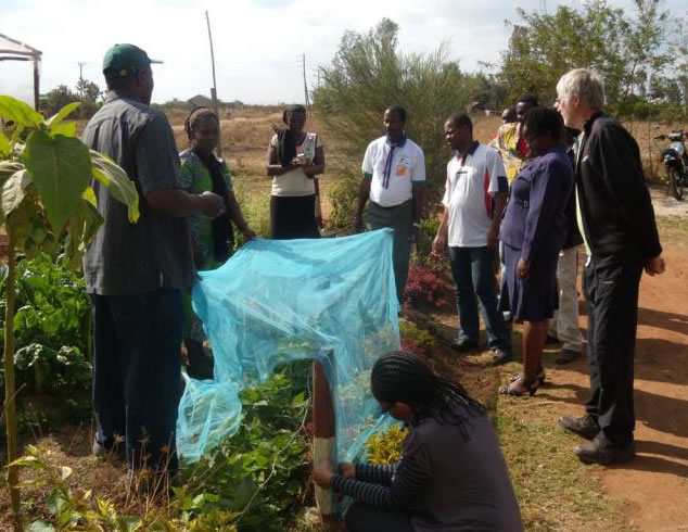 Participants learn about seed saving and seed enclosures