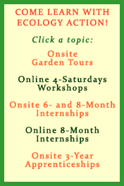 Internships Offered by Ecology Action