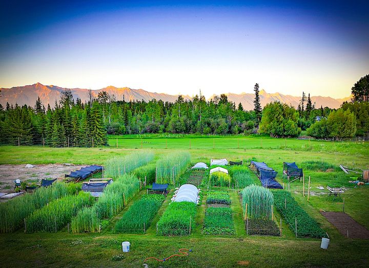 Future Heirlooms Mini-Farm at Kootenay Society for Sustainable Living