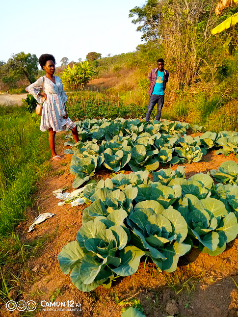 Mbowe demonstration garden, Malawi