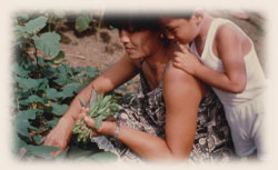 Mother and Child Growing Food Using the GROW BIOINTENSIVE Method